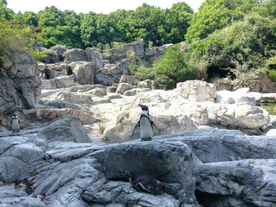 よこはま動物園ズーラシア